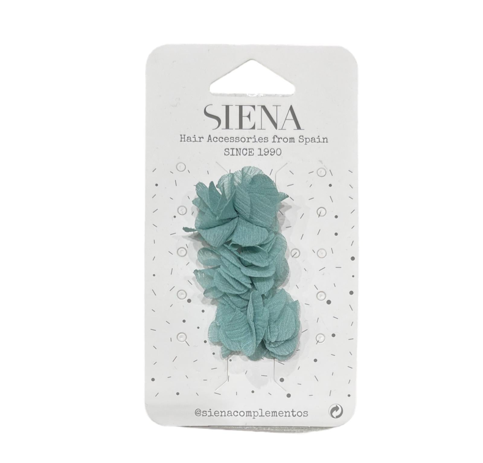 Pinza Siena 6147 03 Siena