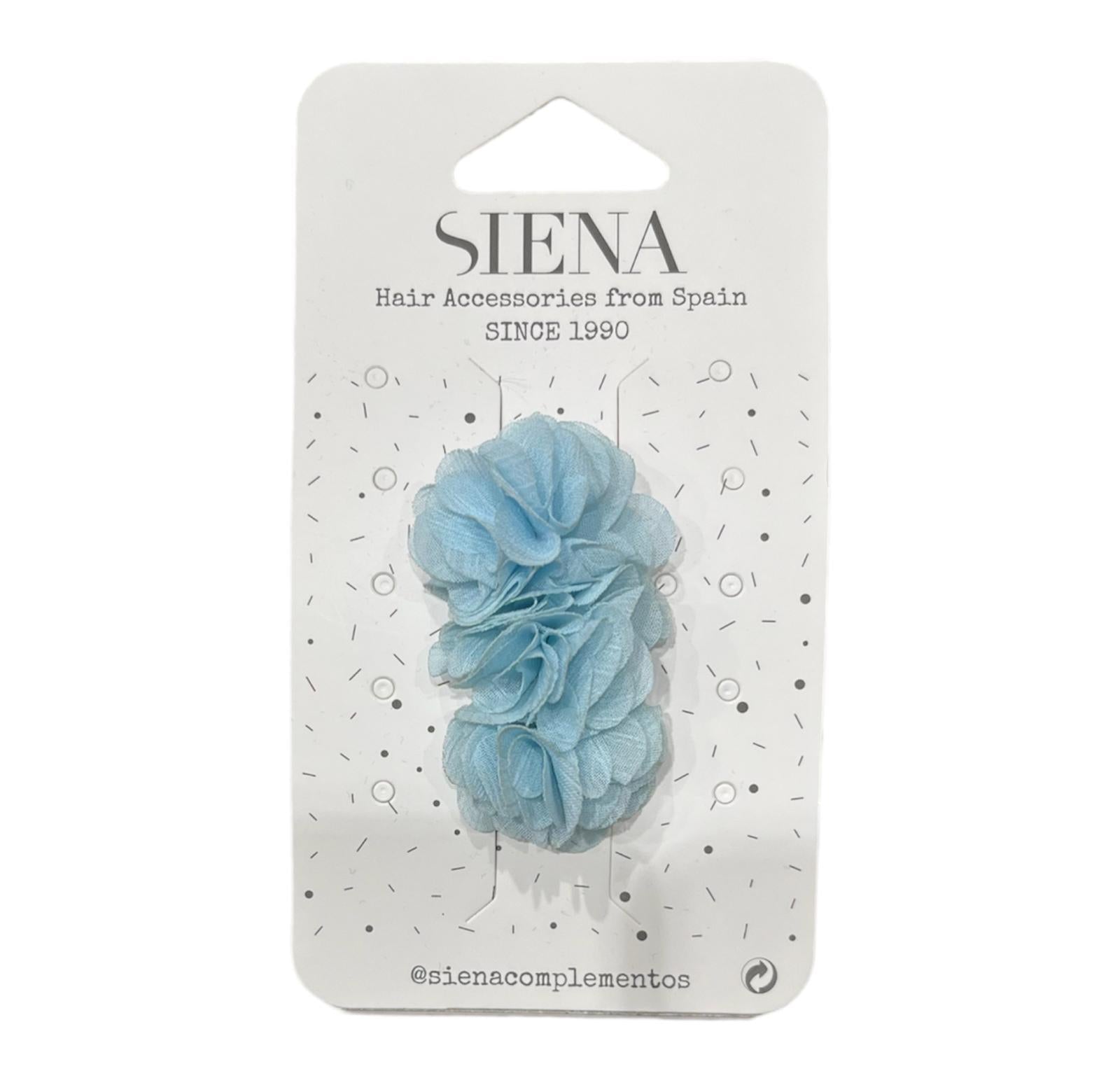 Pinza Siena