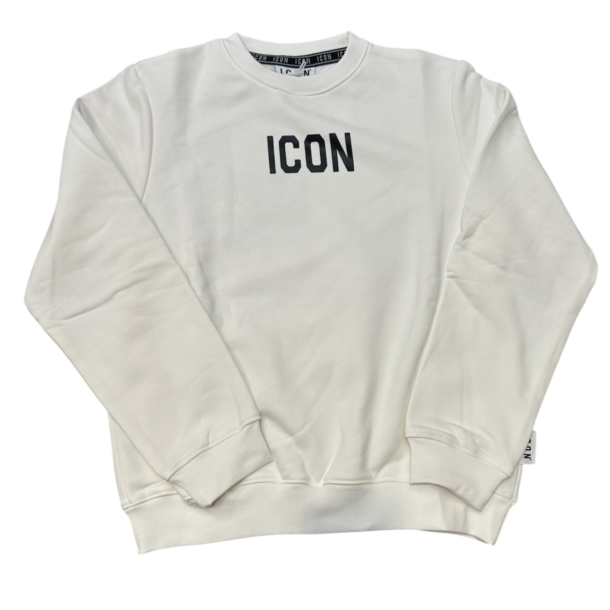 Felpa Icon IBSW001406 00 ICON 