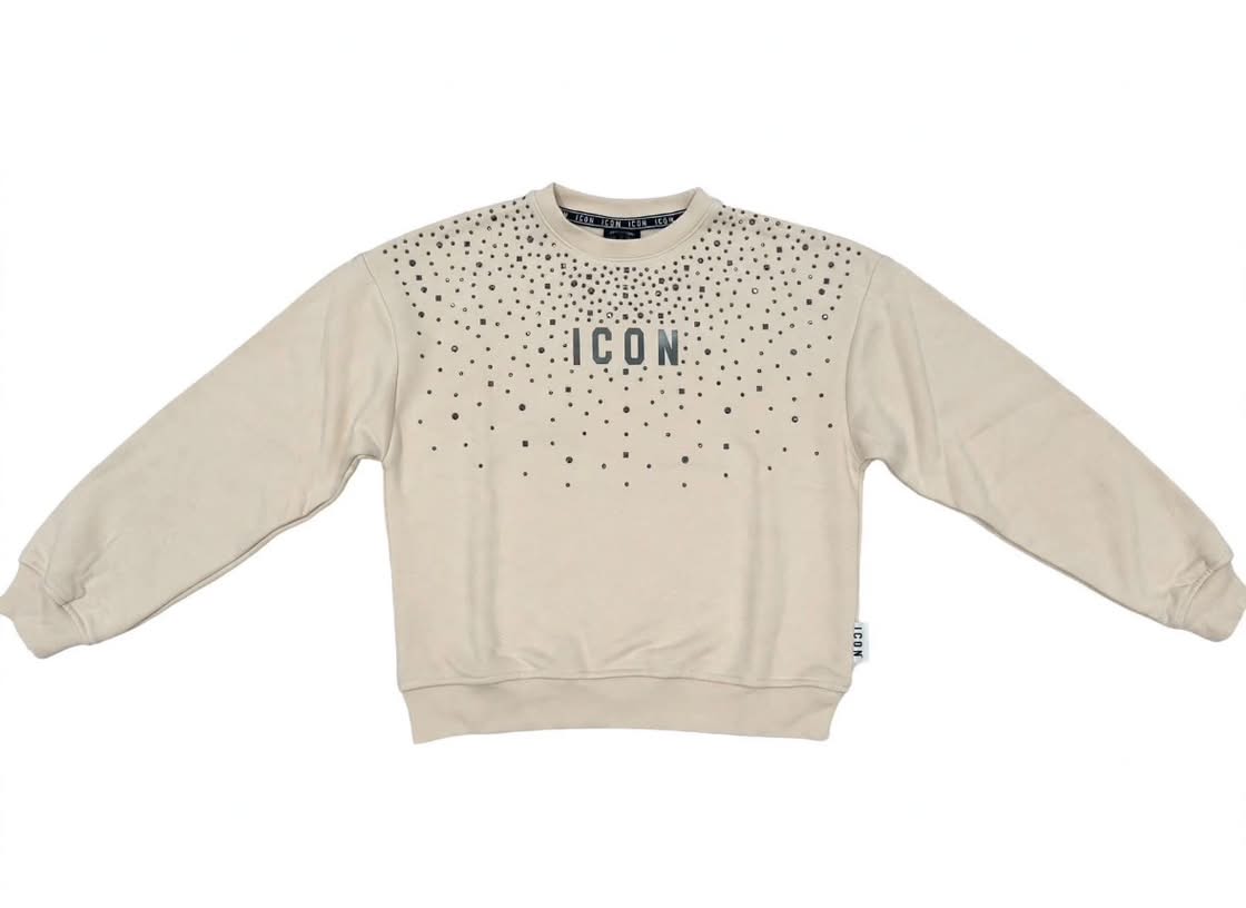 Felpa Icon IGSW001395 01 ICON 