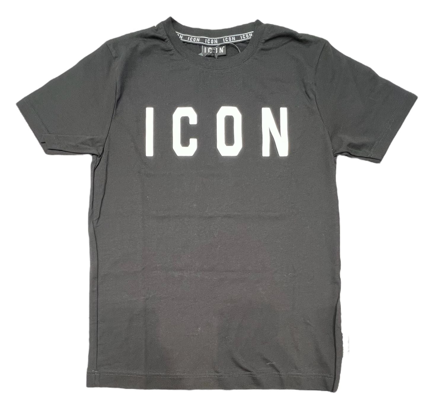 ICON IBKS0009801