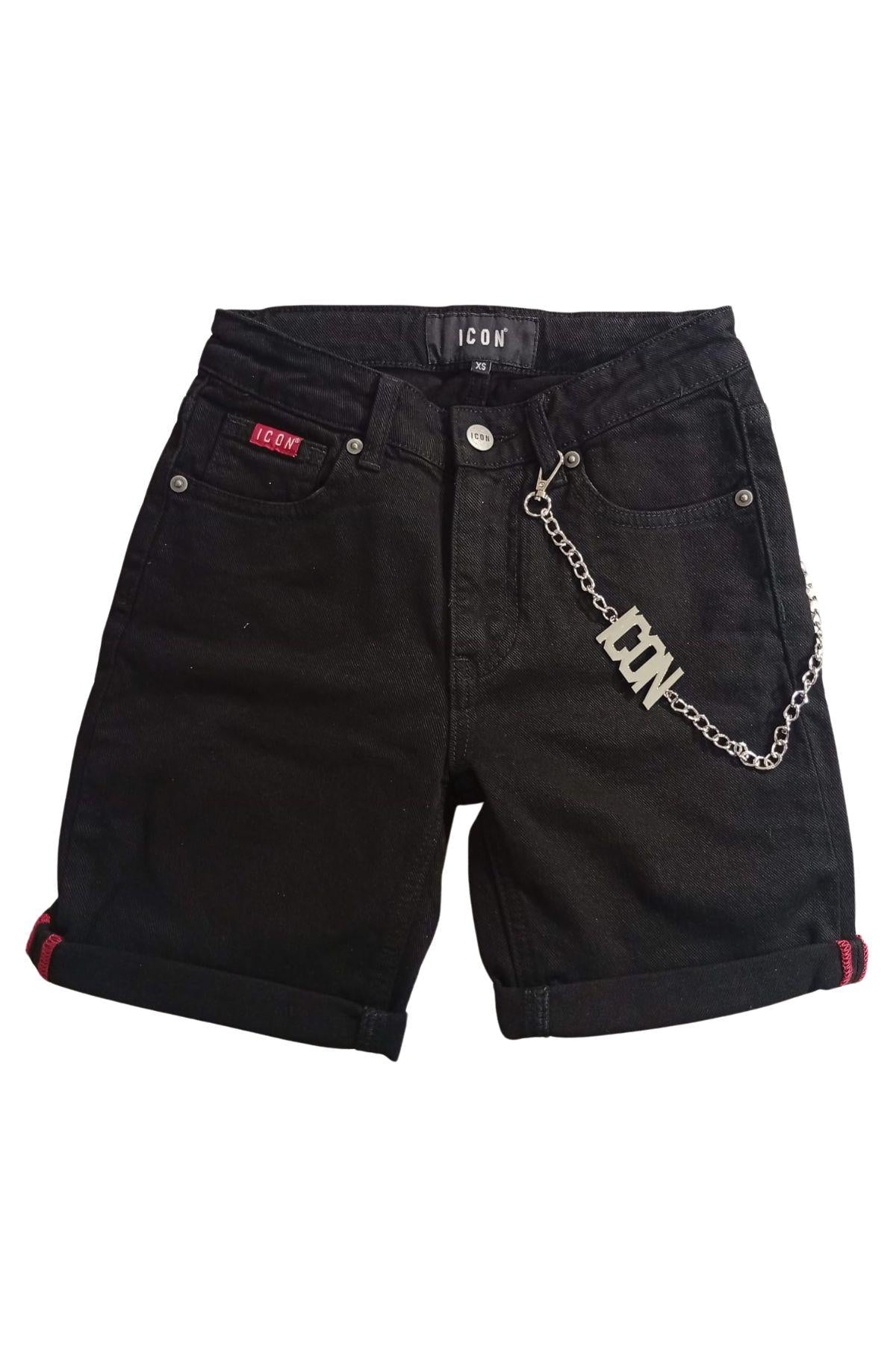 ICON IBDS0045600