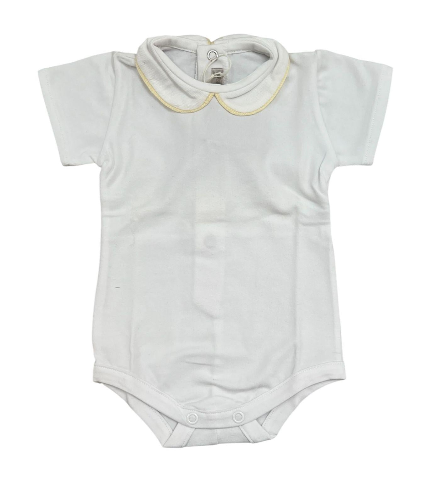 Body Little Bear