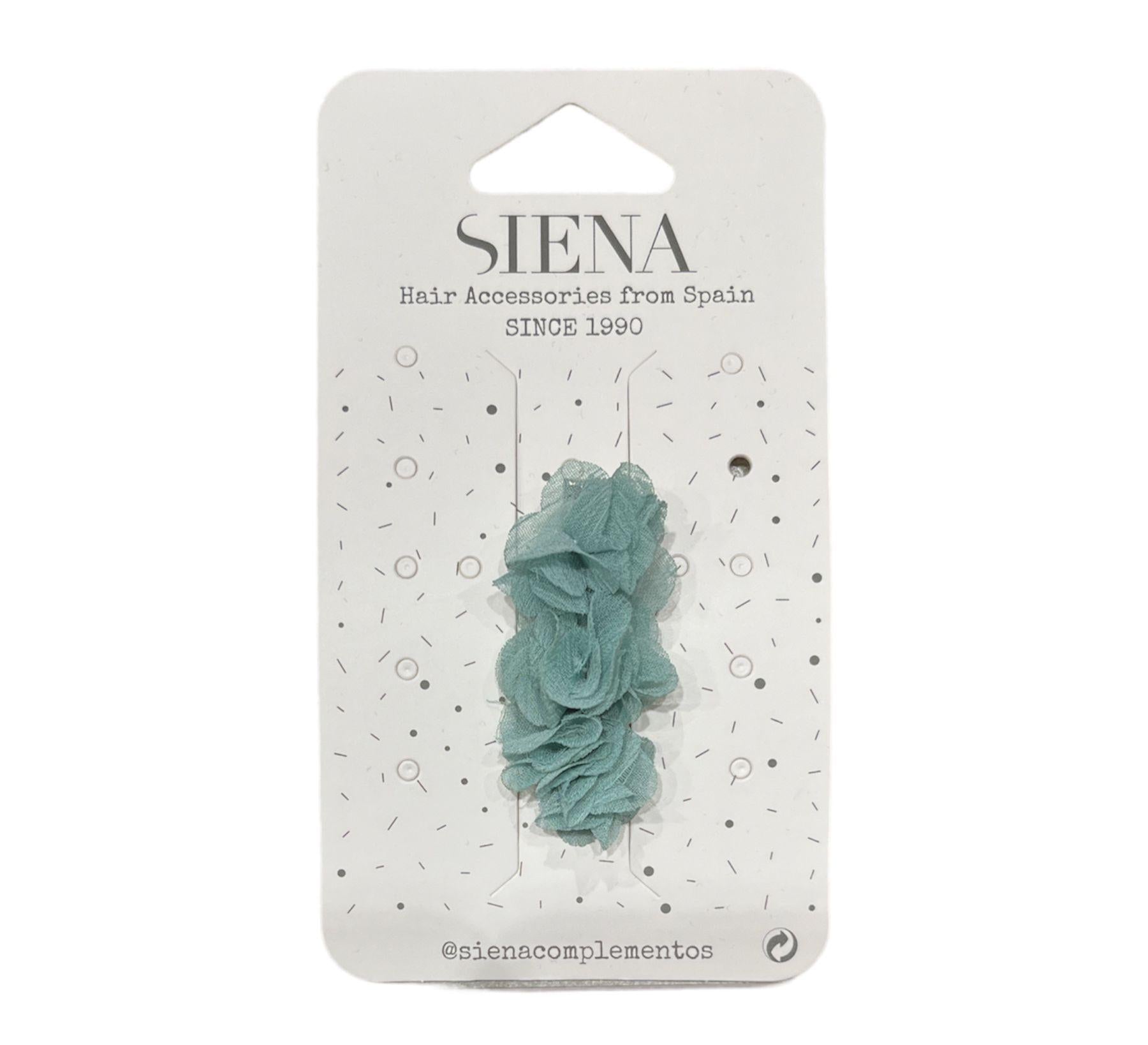Pinza Siena