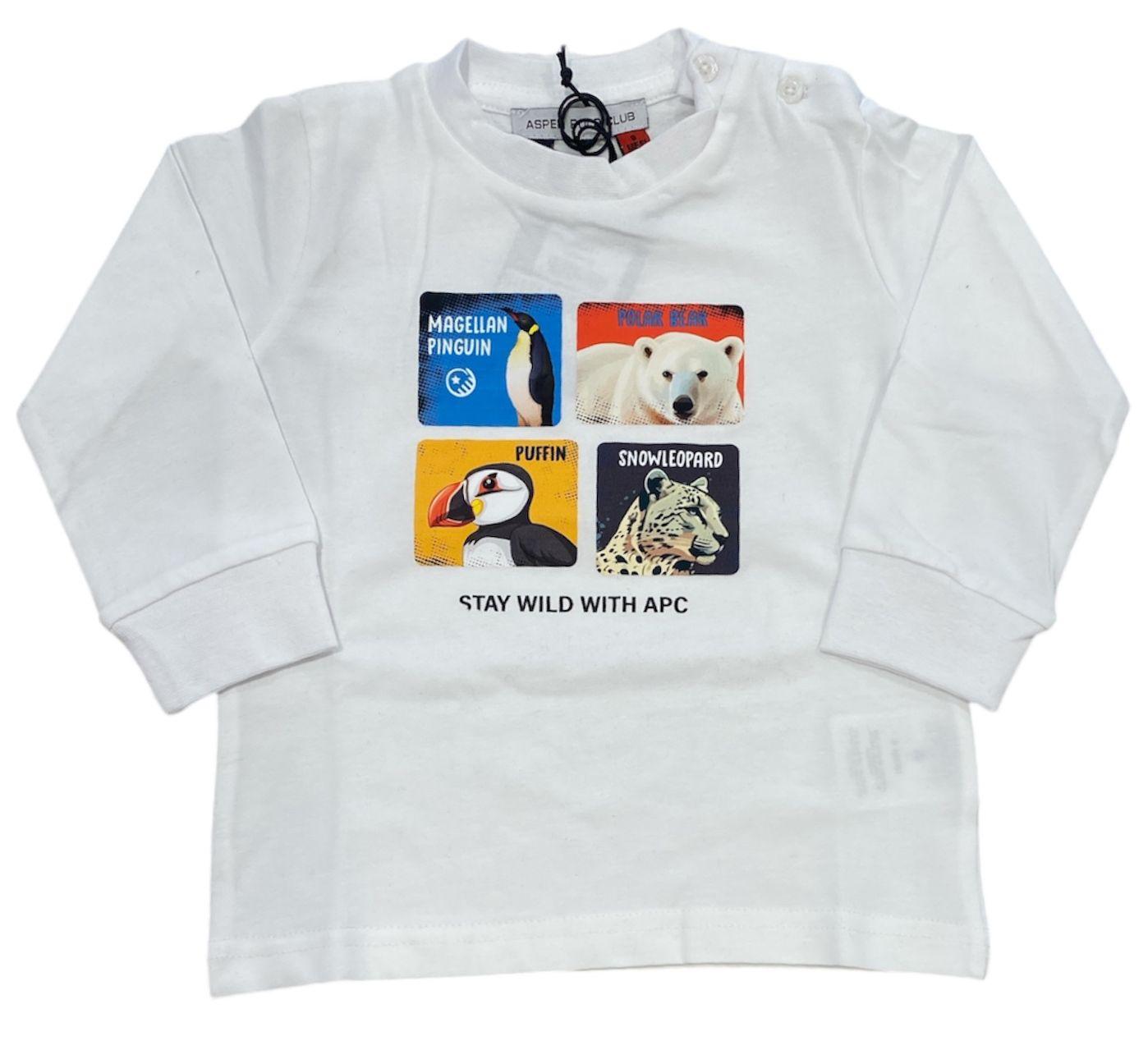 T-shirt Aspen Polo Club 1051M00124 00 ASPEN POLO CLUB 