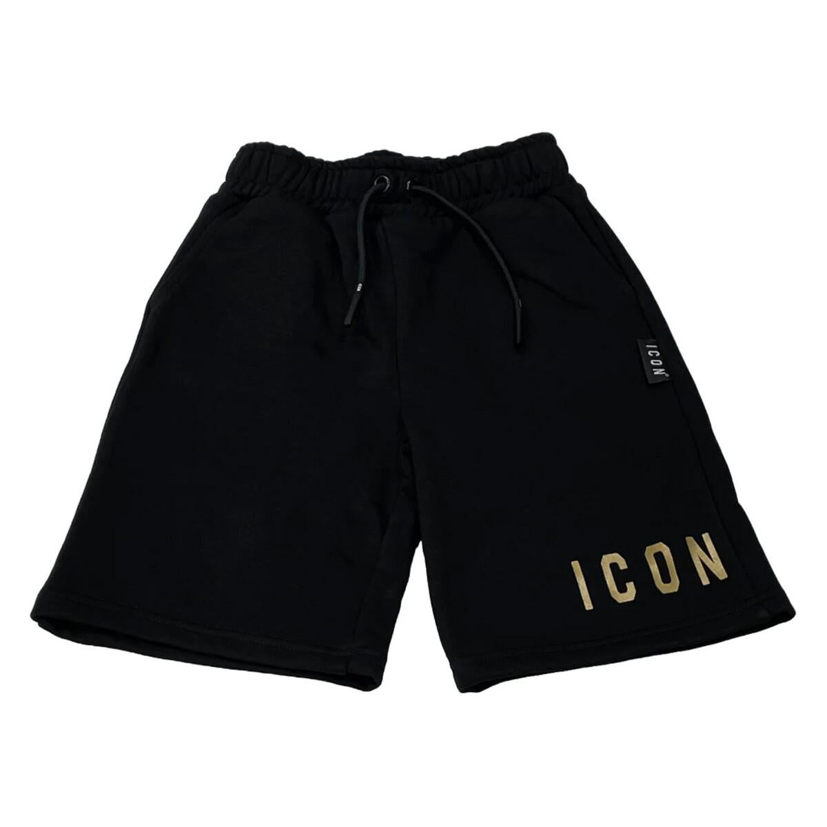 ICON IBSH0068400