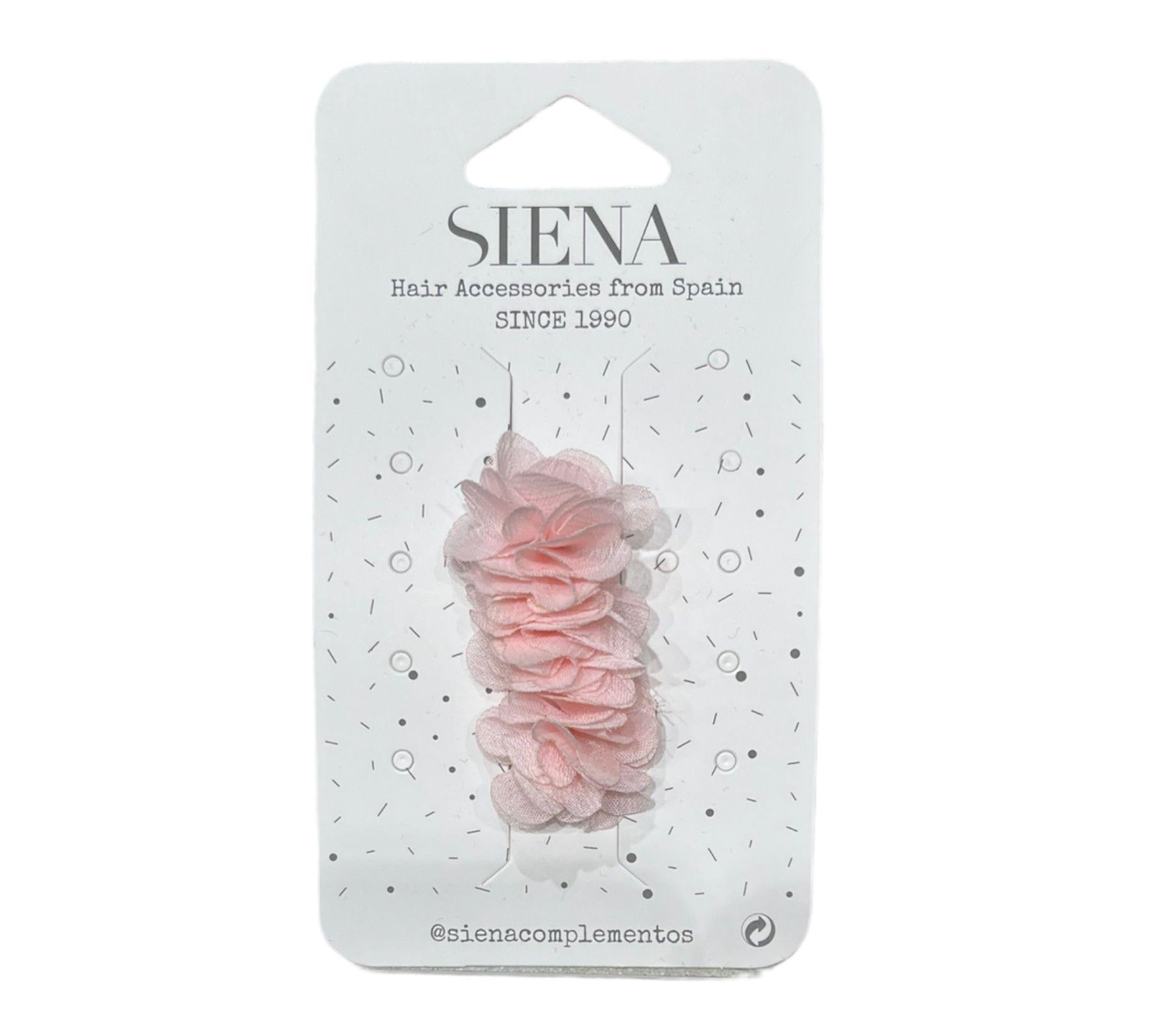 Pinza Siena
